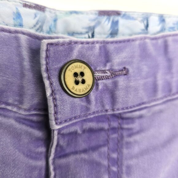 Tommy Bahama Washed Purple Flat Front Chino Shorts - Picture 5 of 9